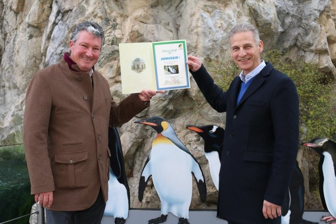 HAUSER übernimmt Patenschaft für Pinguine des Tiergartens Schönbrunn